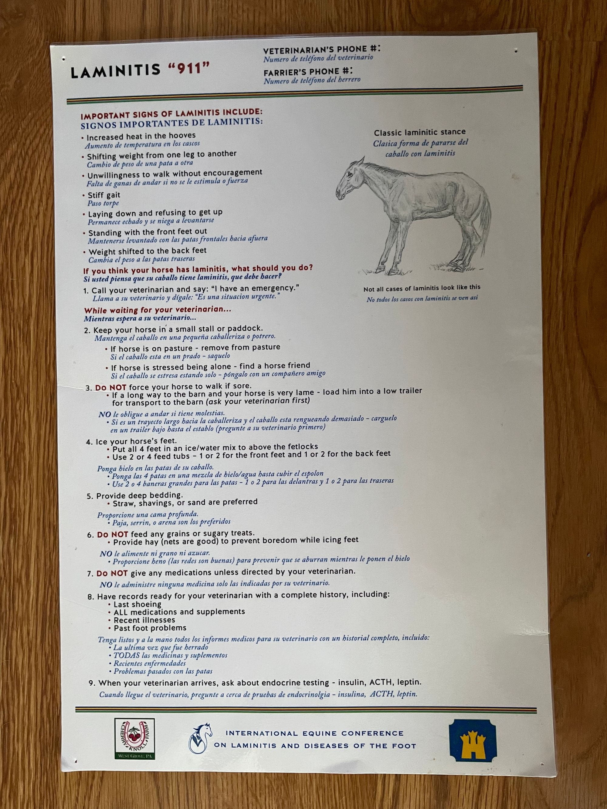 When Equine Laminitis Strikes