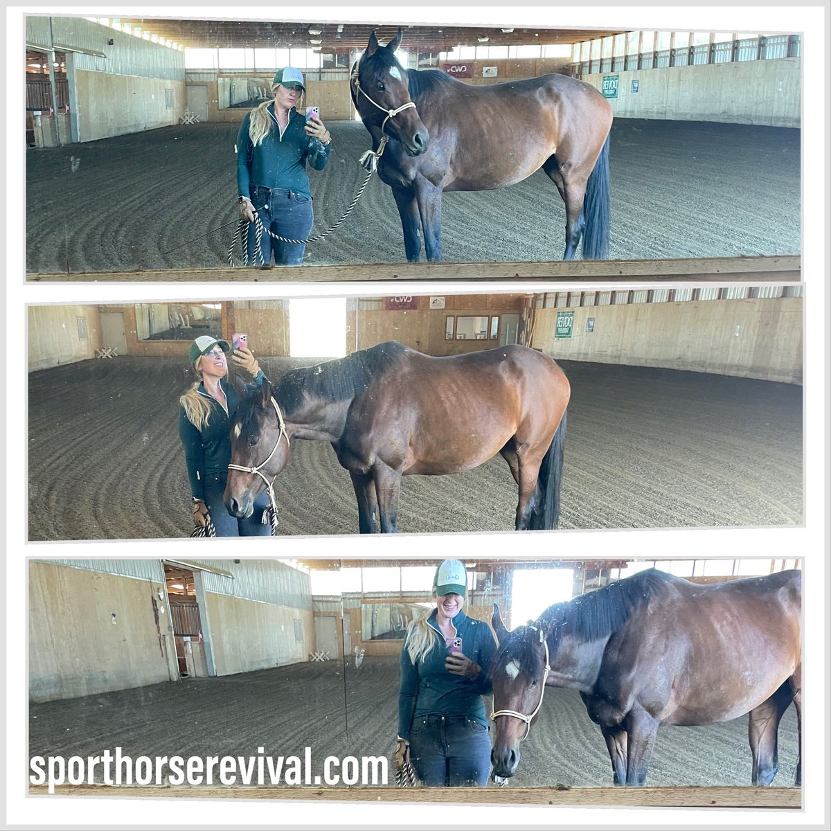 In the Case of Colic