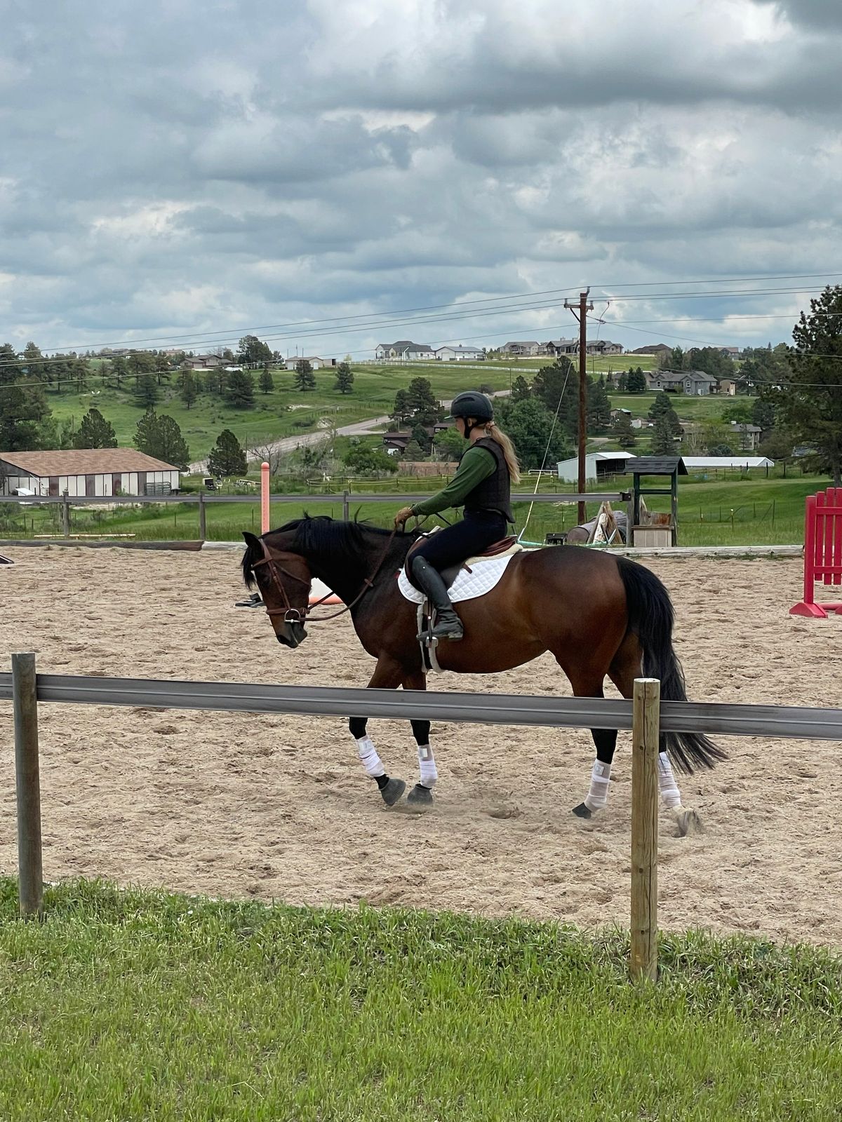 A Modern Miracle: The Big Bay Mare that Could