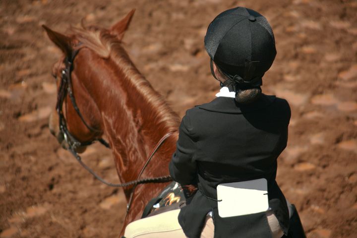 My First Horse Show